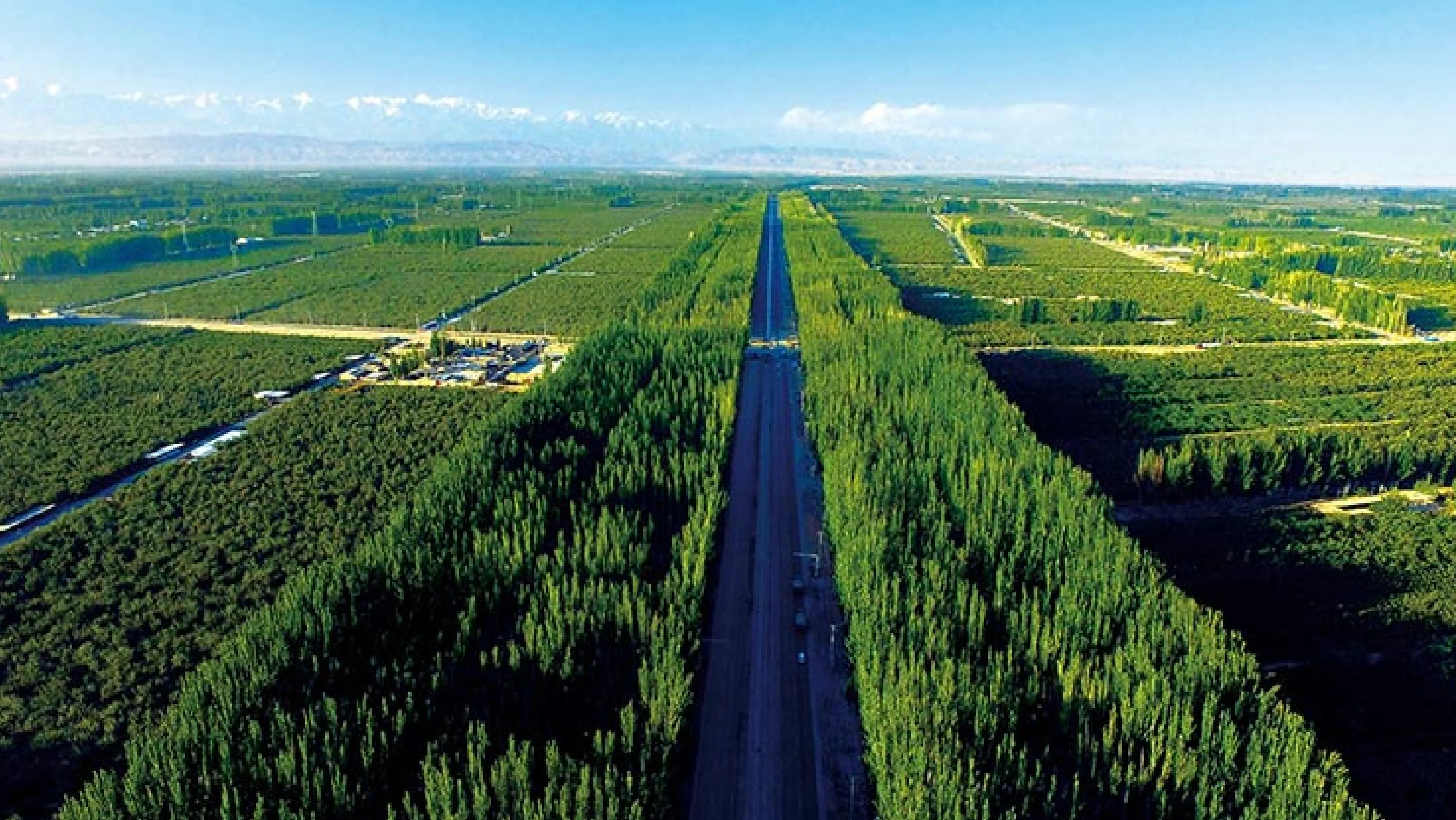 from-gobi-desert-to-a-green-homeland-1