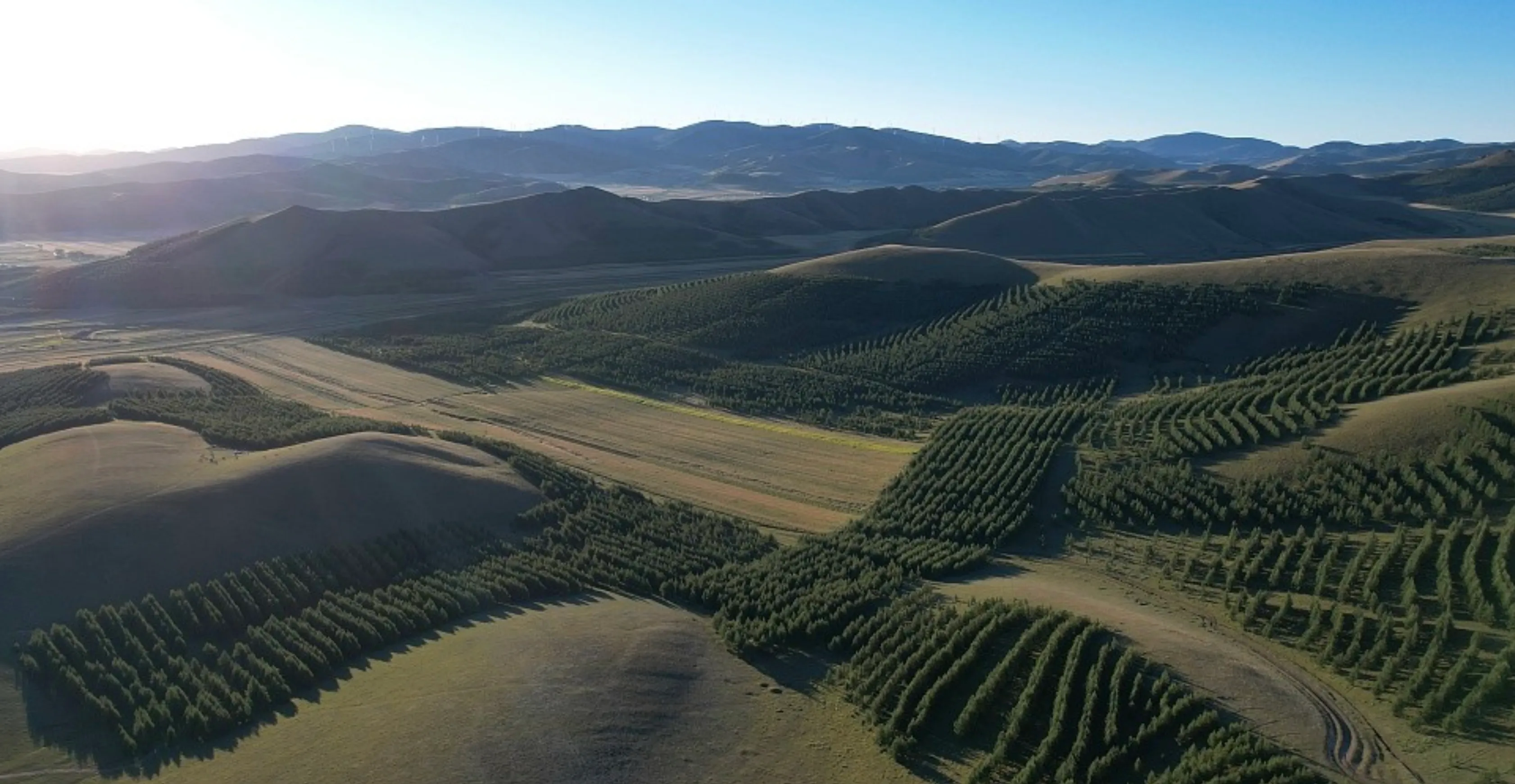The Three-North Shelterbelt Forest Program, also known as the "Green Great Wall," aims to establish a vast network of shelterbelts to hold back the encroaching desert and protect the vulnerable northern regions