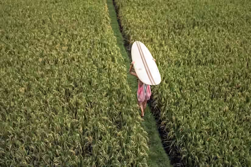 Balsa Surfboards