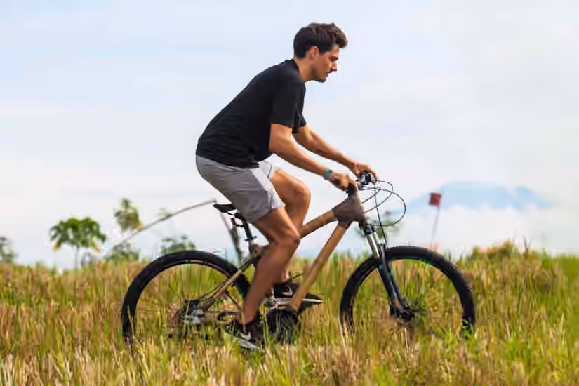 Bamboo Bicycles
