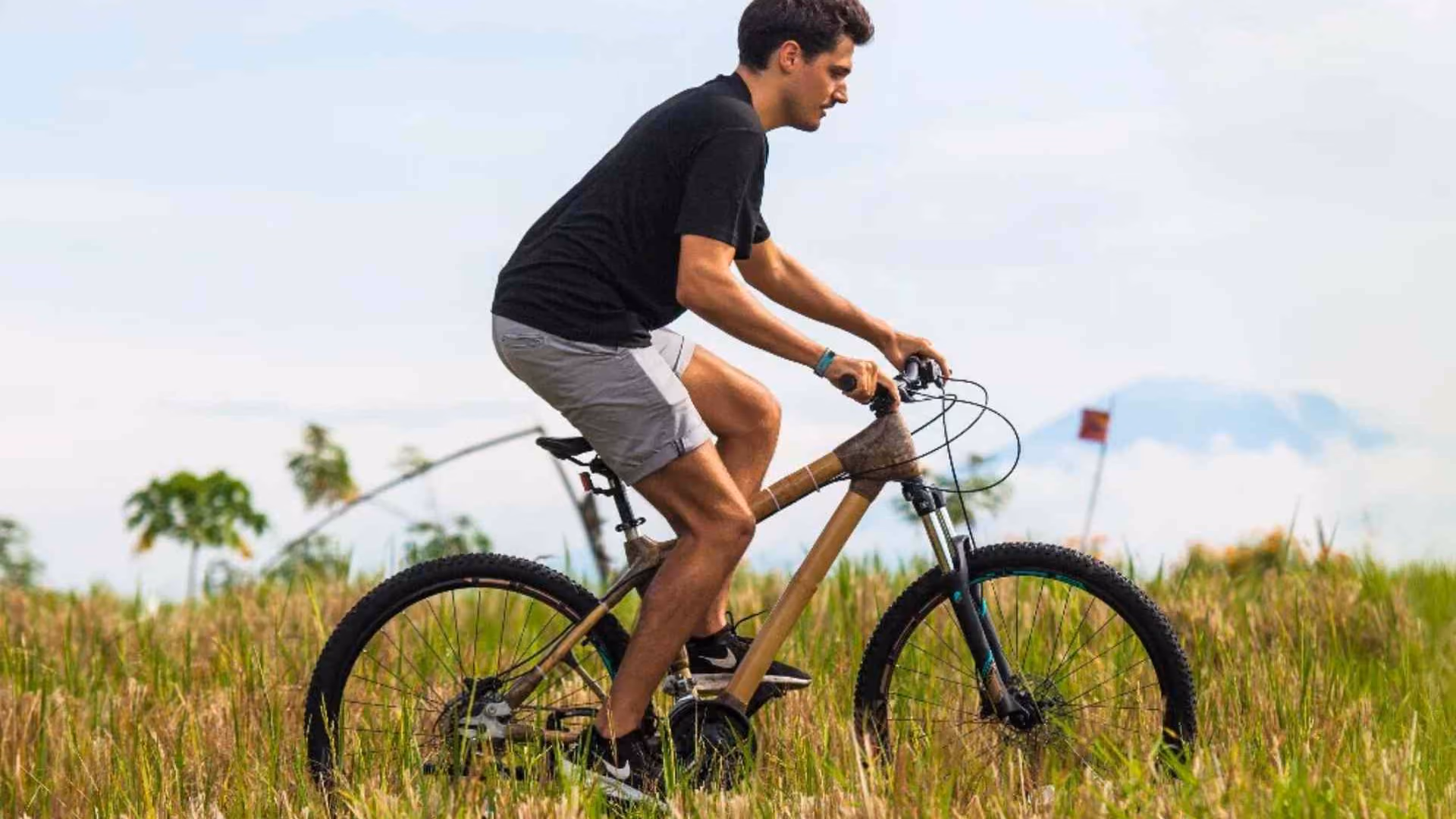 Bamboo Bicycles