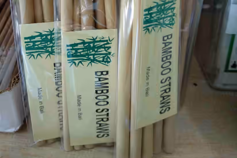 Bamboo Straws