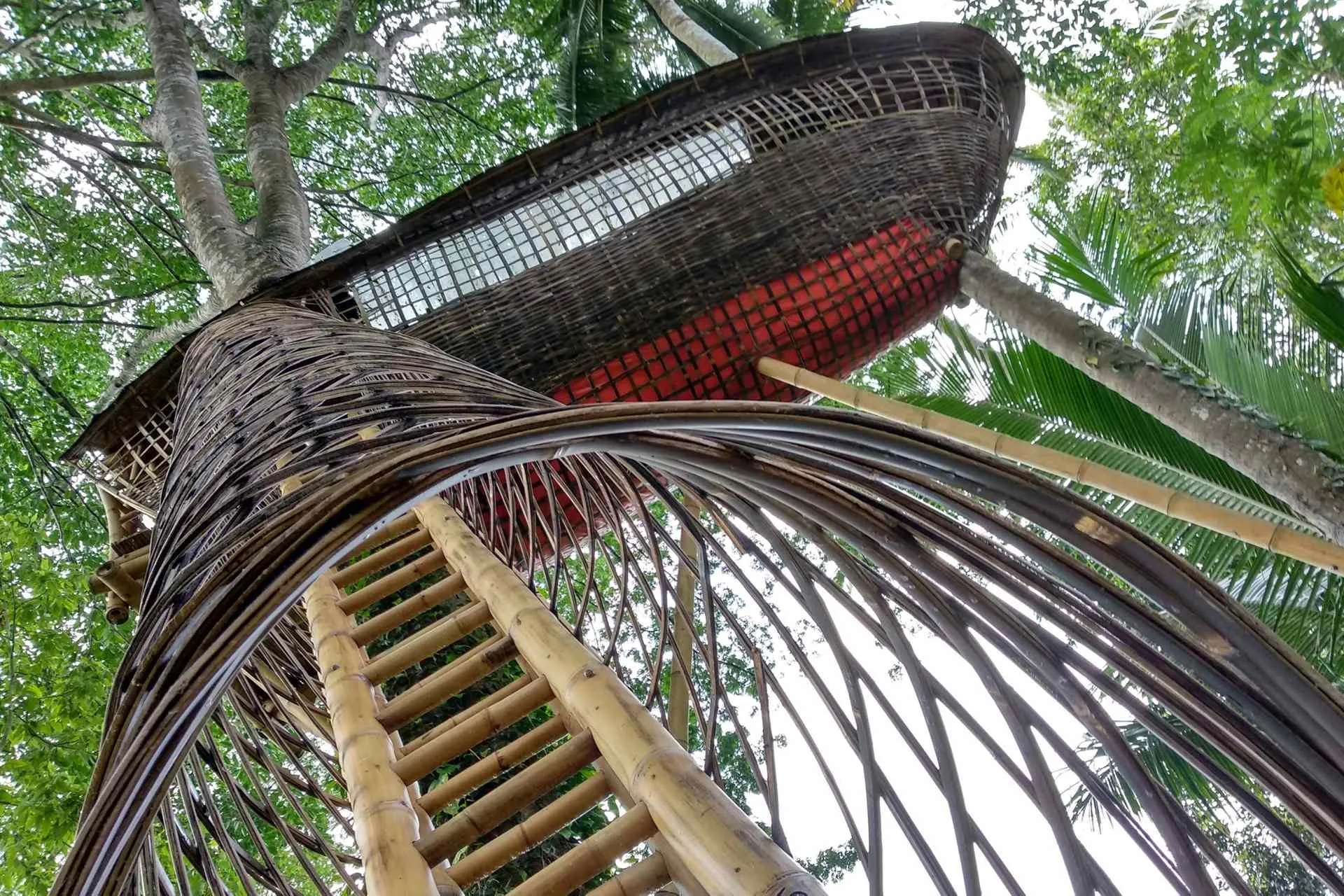 The cocoon tree house. Photo by Rokma