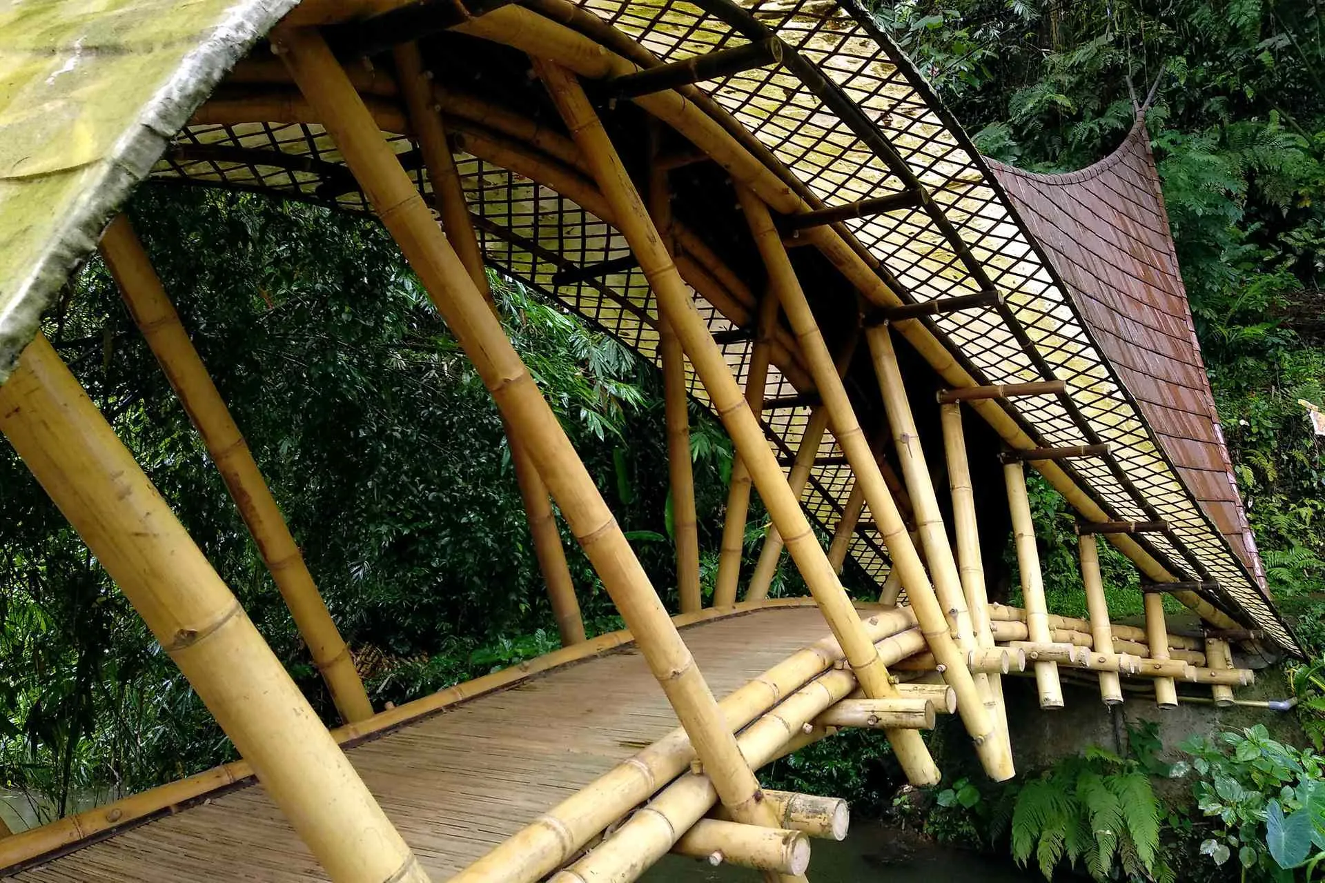 Bamboo bridge. Photo by Rokma