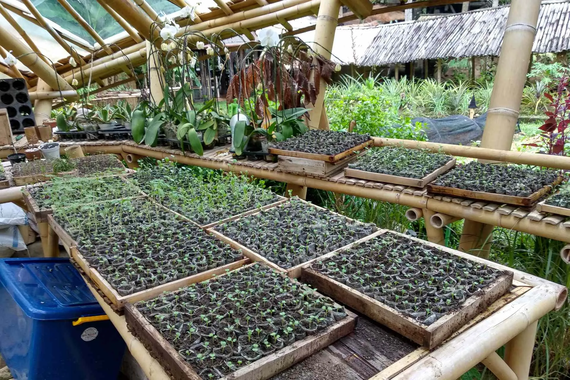 Organic Vegetable and Herb Farm run by a team of gardeners. Photo by Rokma