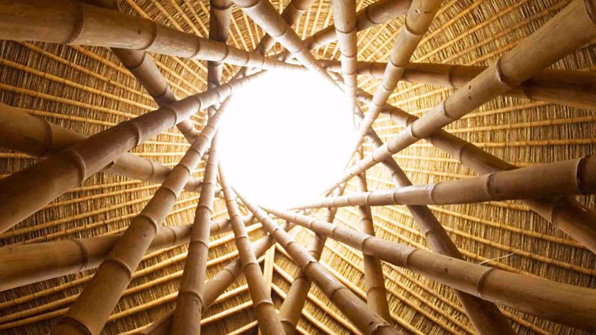 Building With Bamboo