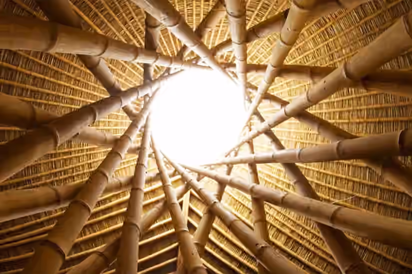 Building With Bamboo