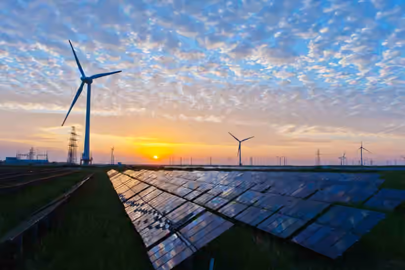 Consumers Want Sustainability