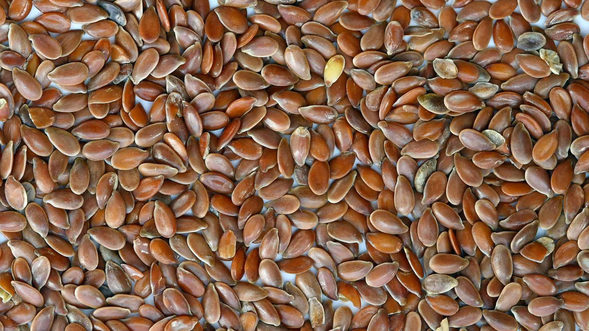 Flax is a Superfood