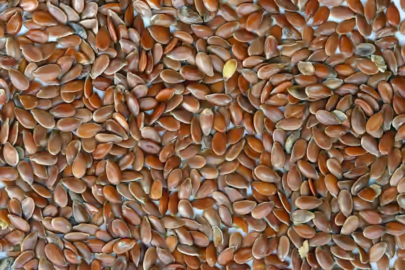Flax is a Superfood