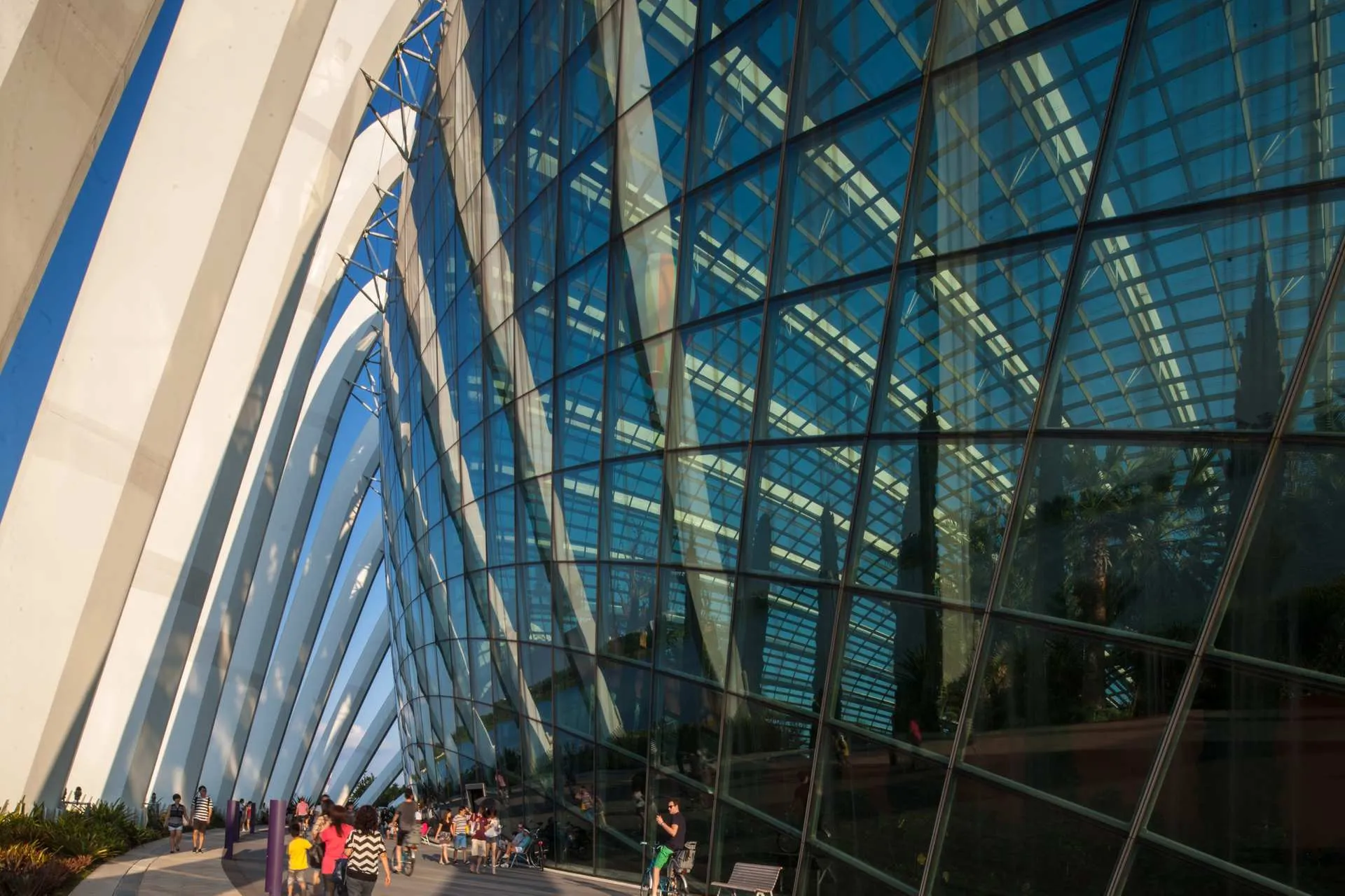 Garden by the bay. Photo by Rocco Marosi