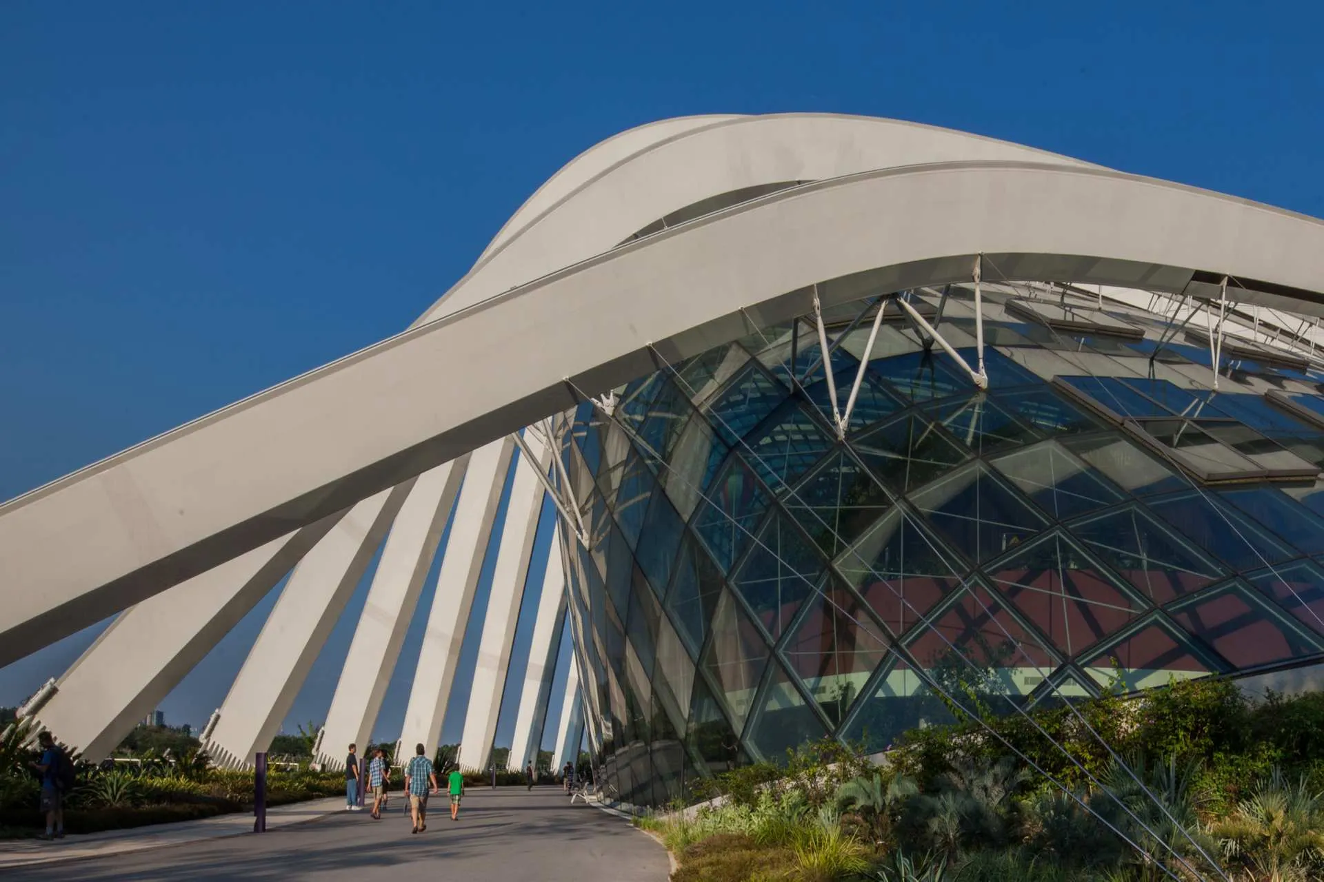 Garden by the bay. Photo by Rocco Marosi