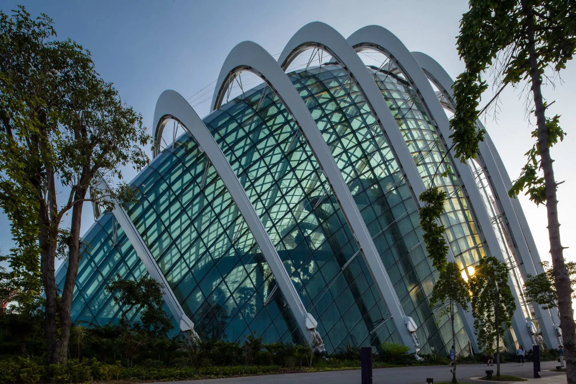 Garden by the bay. Photo by Rocco Marosi