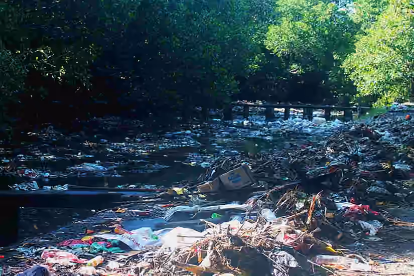 Indonesian Waste Platform