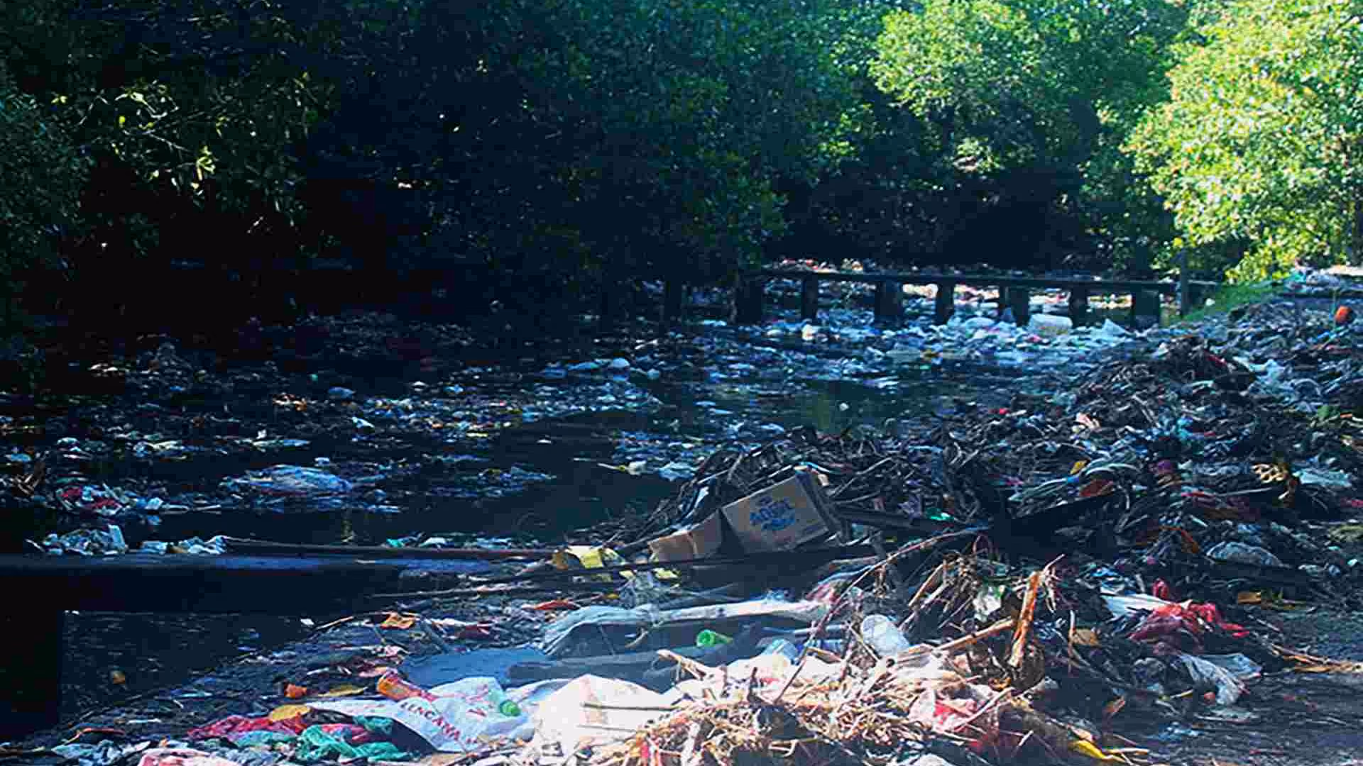 Indonesian Waste Platform