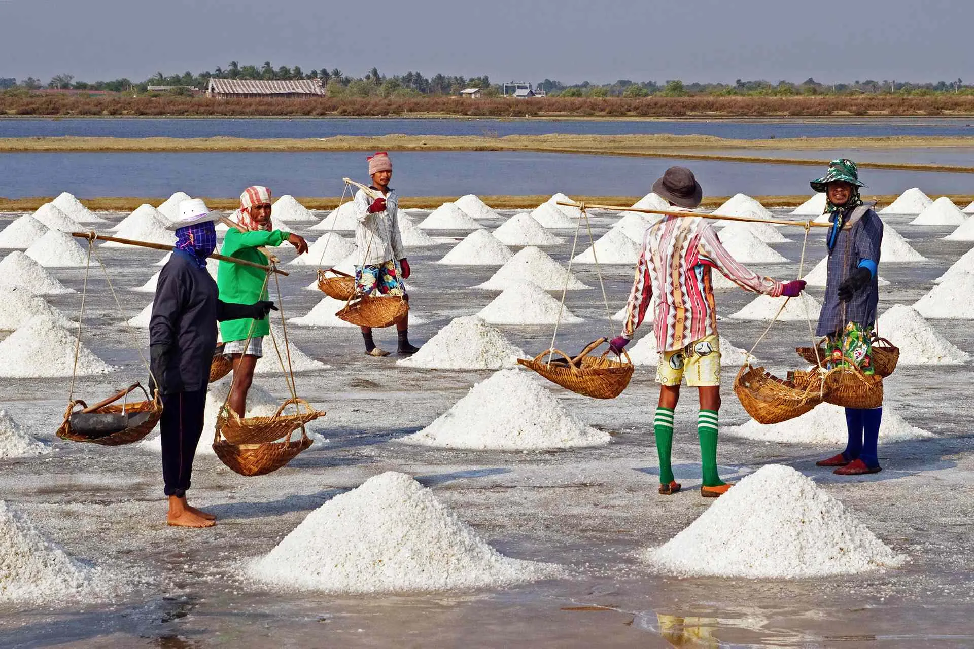 Salt brands tested