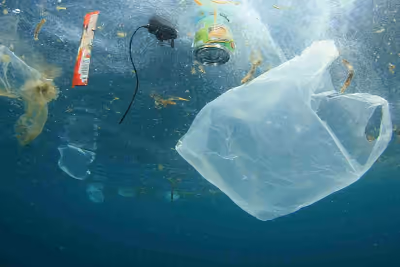 Plastic Bags