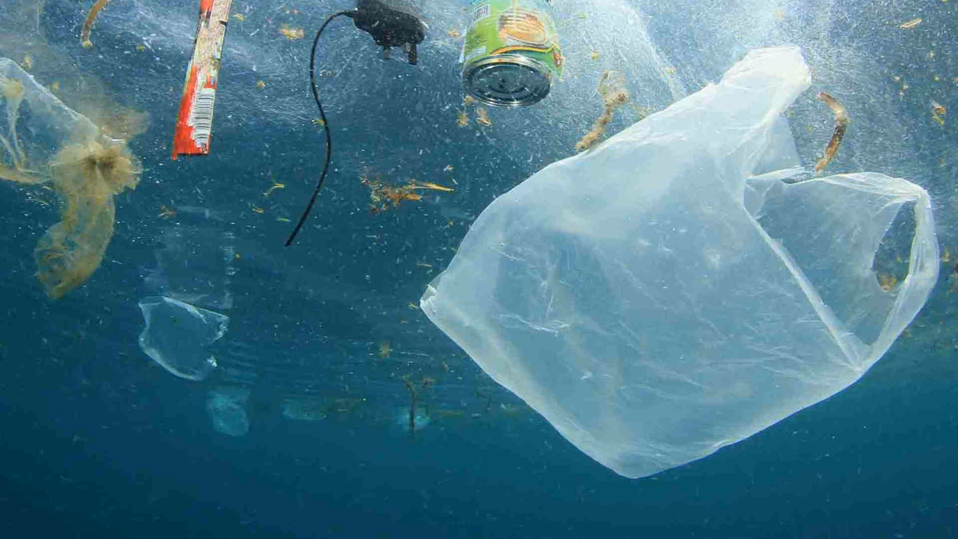 Plastic Bags