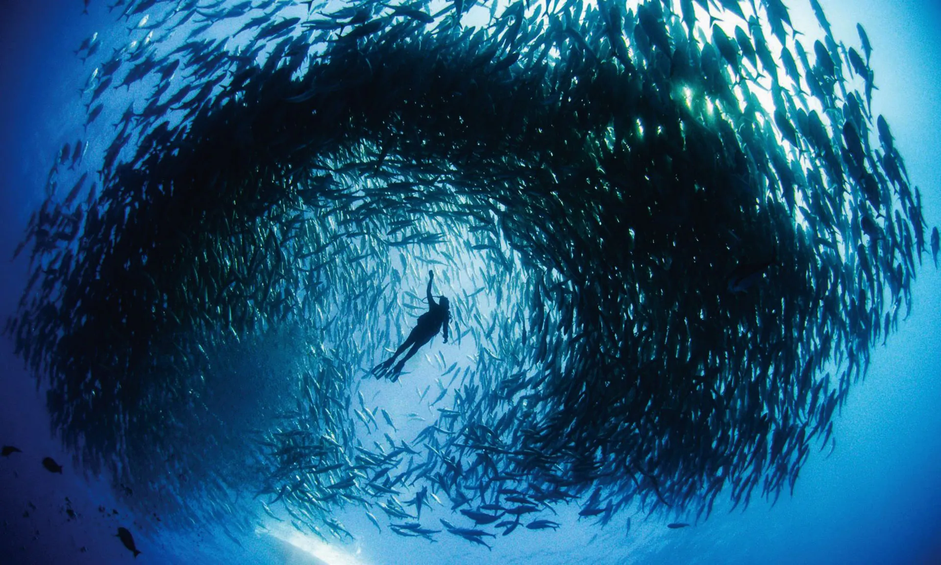 health of the ocean