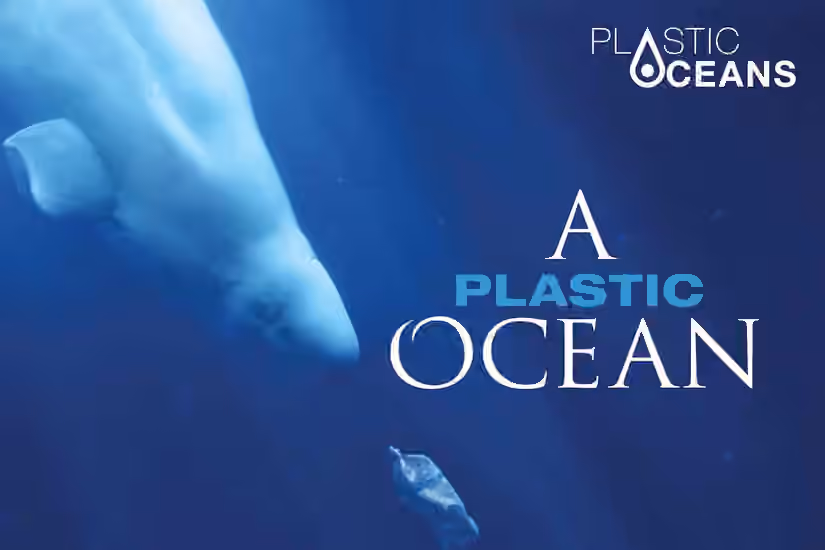 Rethink Plastic