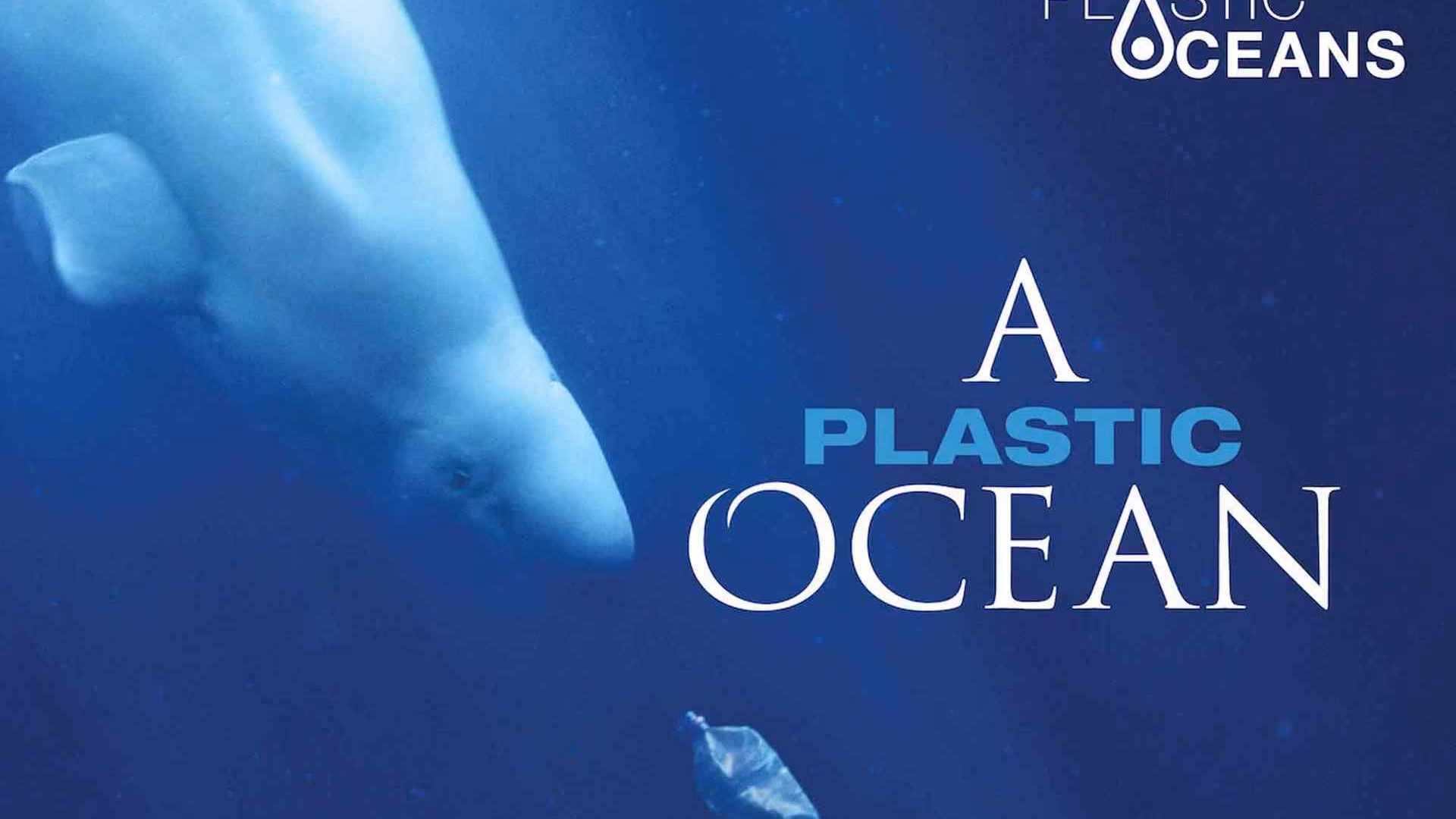 Rethink Plastic