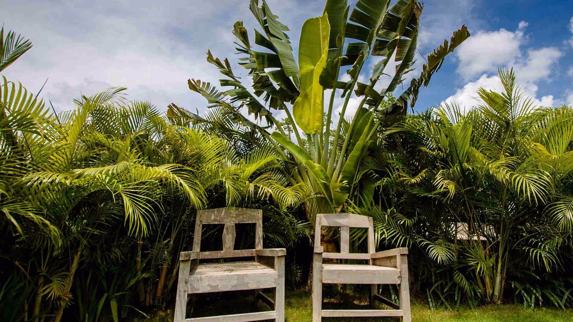 Travellers Choose Sustainability