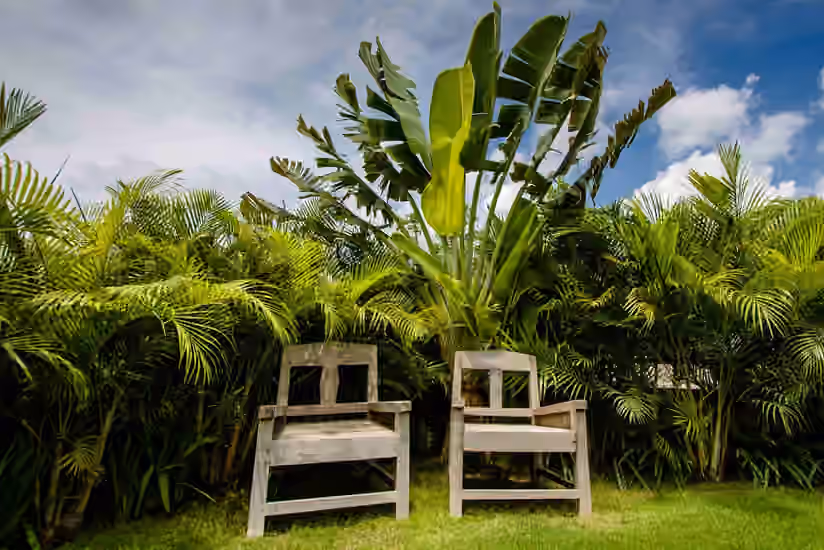 Travellers Choose Sustainability