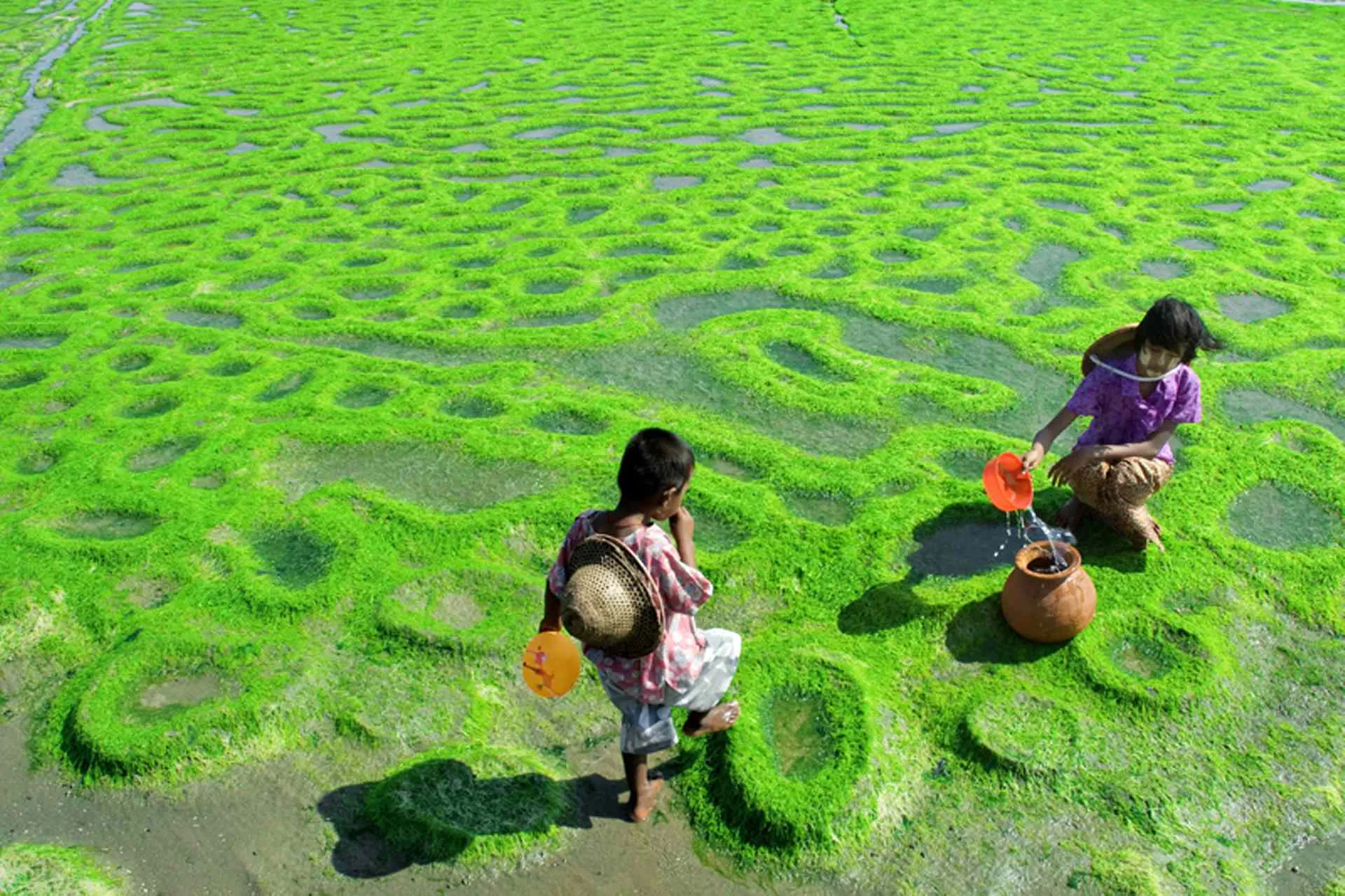 Kids Collecting Water, Kyaw Kyaw Winn